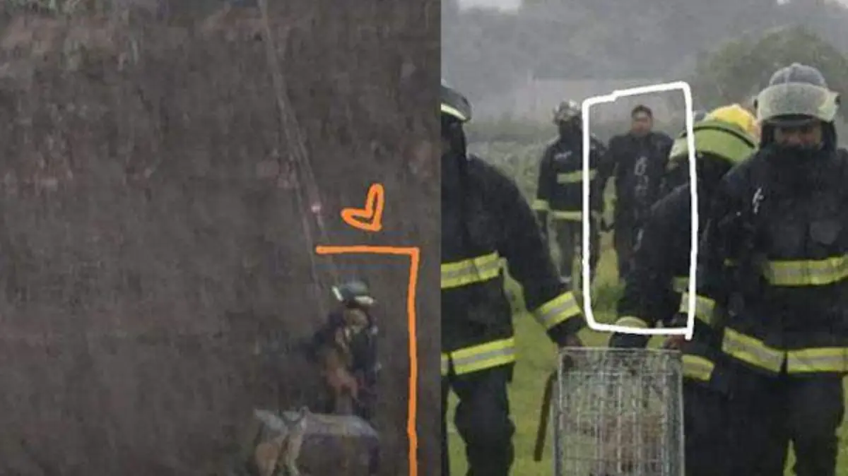 BOMBERO RESCATISTA PERROS SOCAVON 2